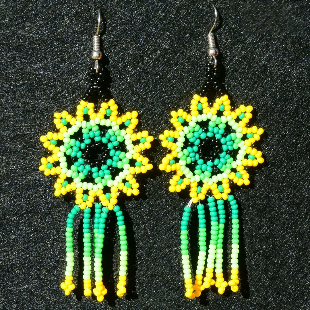 Beaded Earrings NA-TM-0818-16
