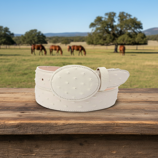 TM-15110CintoVaqueroCharrodeninoWesternCharrocasualBeltforkidsNantlisTradiciondeMexico_f5b4ca3f-5ed3-40d7-84b0-b1ed50eee0ca