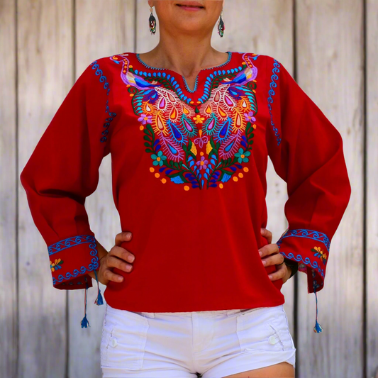 Embroidered Blouse NA-TM-77534