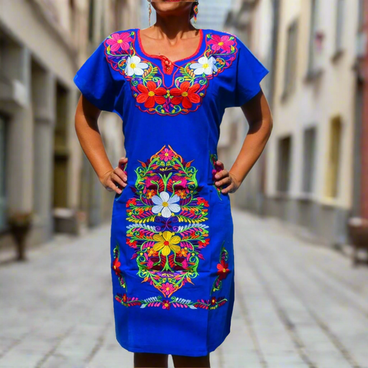 Embroidered Dress NA-TM-77121-R