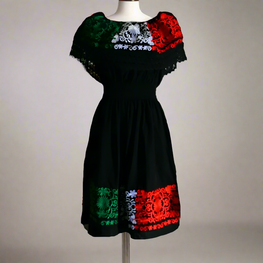 Embroidered Dress NA-TM-77309-1